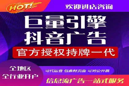 百度广告投放策略：成功案例解析